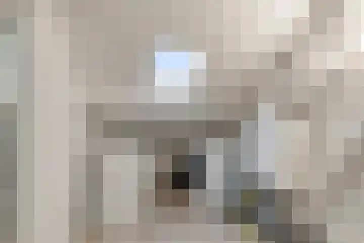 Ceciliastraat 37 Veldhoven thumbnail 19