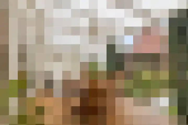 Ceciliastraat 37 Veldhoven thumbnail 22