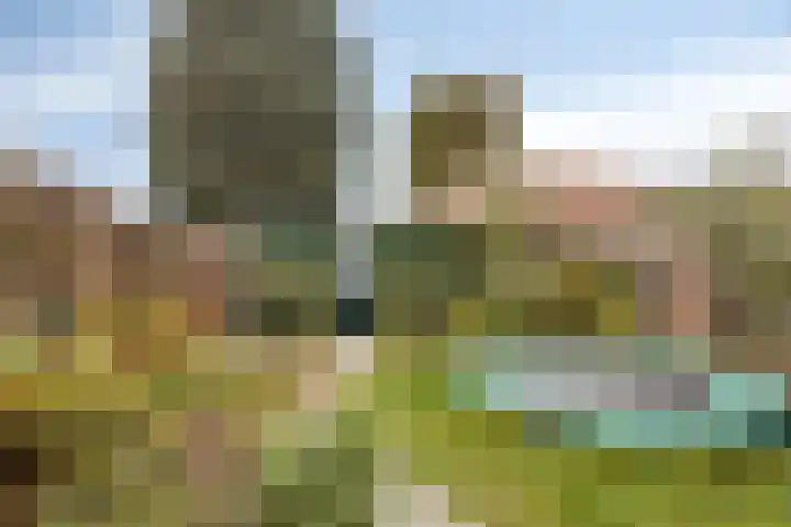 Ceciliastraat 37 Veldhoven thumbnail 24