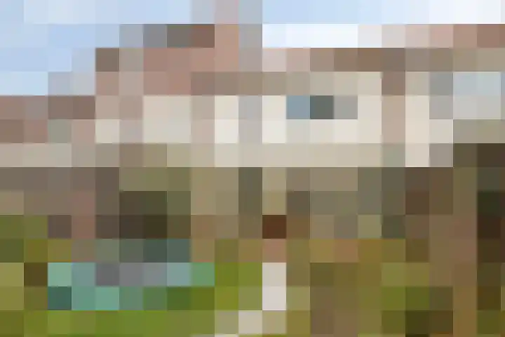 Ceciliastraat 37 Veldhoven thumbnail 25