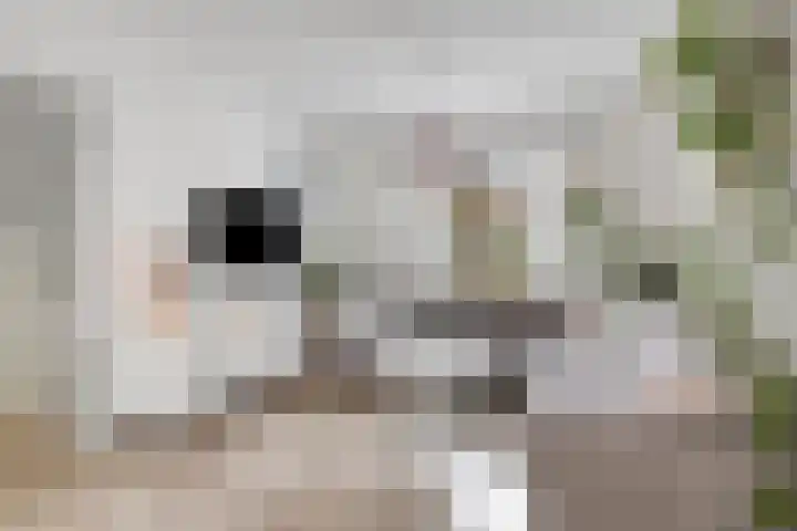 Ceciliastraat 37 Veldhoven thumbnail 5