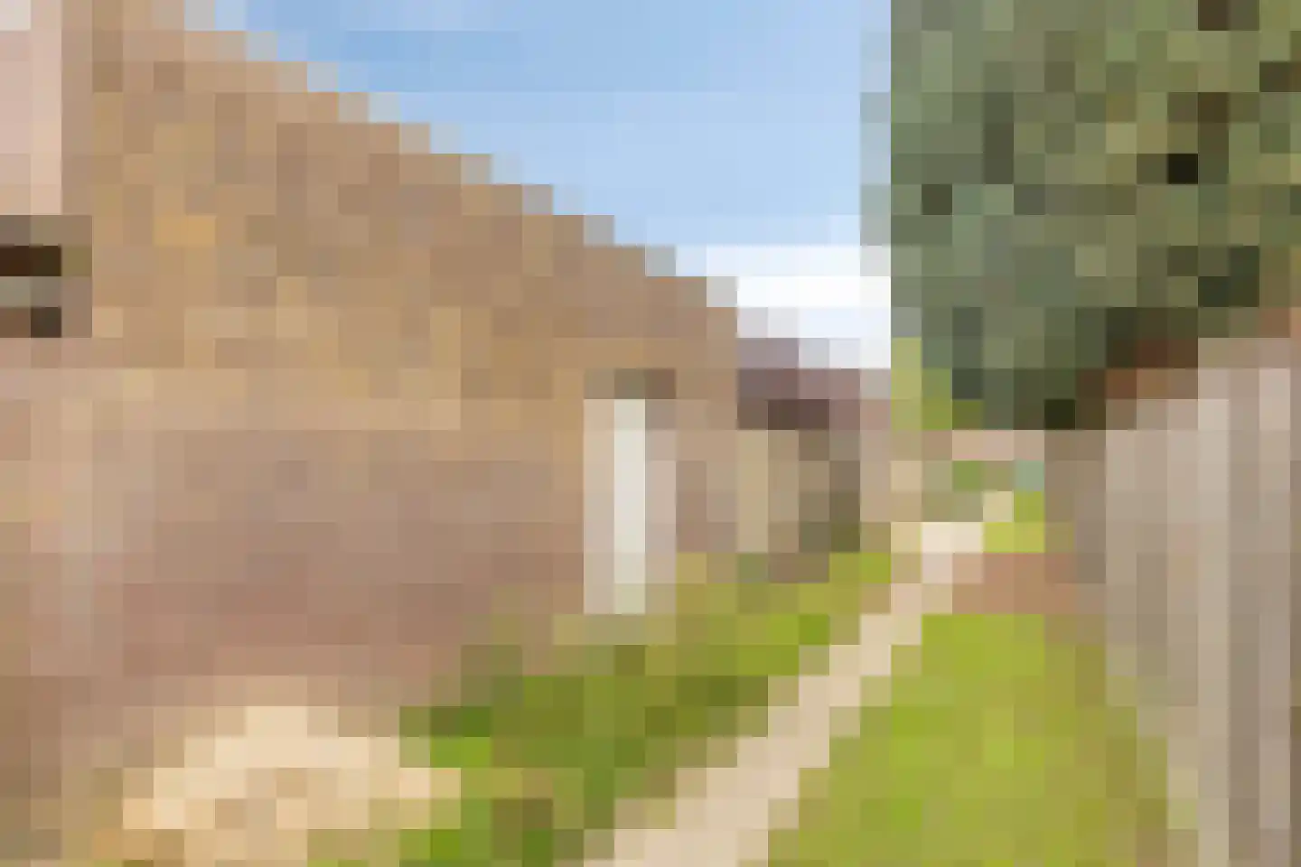 Ceciliastraat 39 Veldhoven thumbnail 32