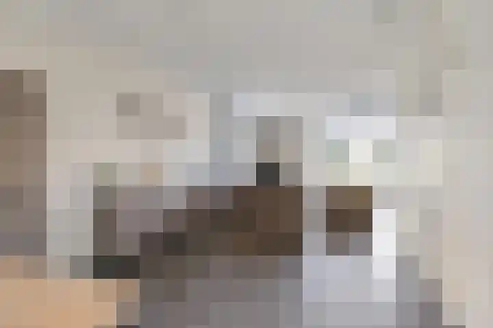 Ceciliastraat 5 Veghel thumbnail 14