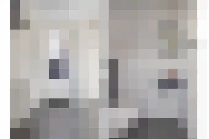 Ceciliastraat 5 Veghel thumbnail 18
