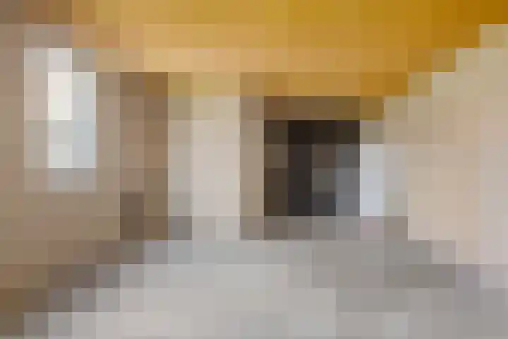 Ceciliastraat 5 Veghel thumbnail 20