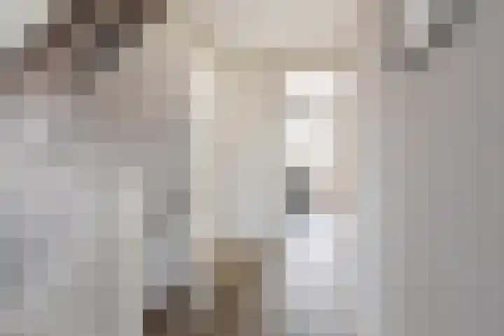Ceciliastraat 5 Veghel thumbnail 21