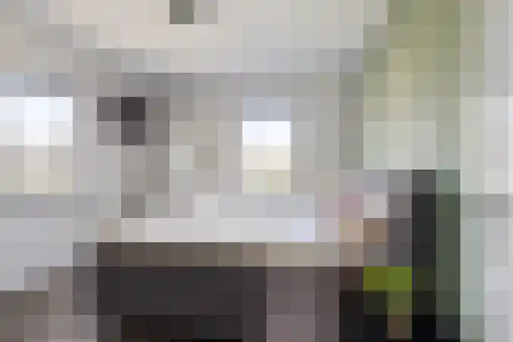 Ceciliastraat 5 Veghel thumbnail 22