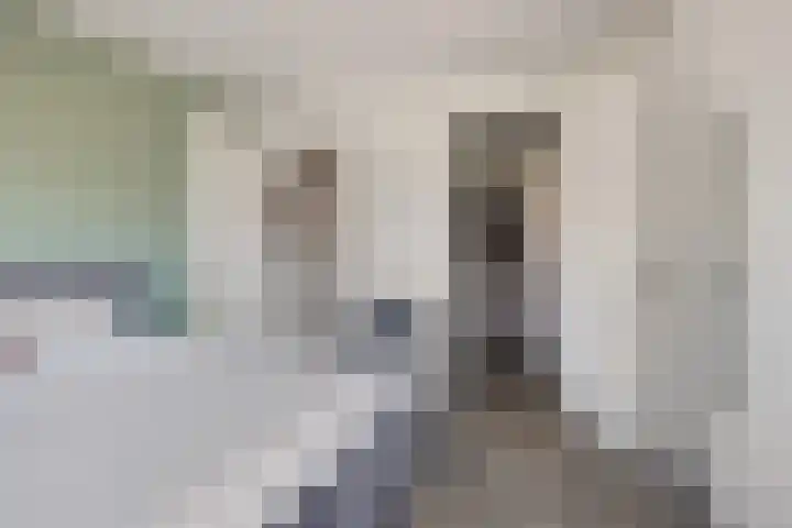 Ceciliastraat 5 Veghel thumbnail 23