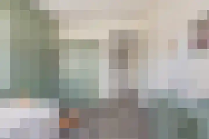 Ceciliastraat 5 Veghel thumbnail 29