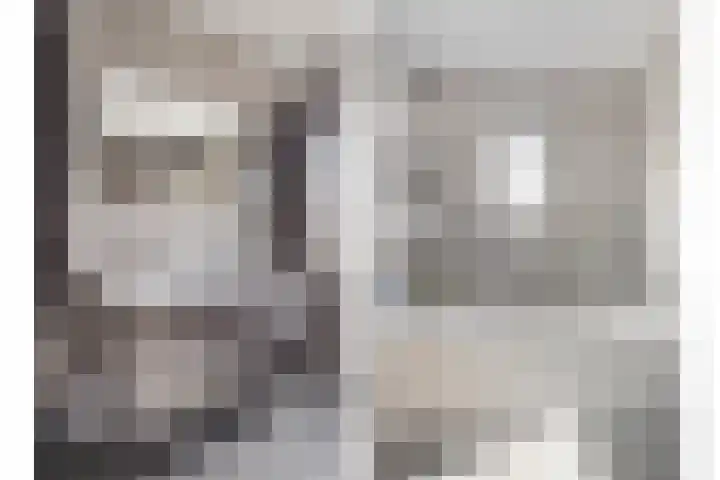 Ceciliastraat 5 Veghel thumbnail 31