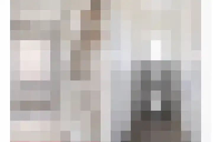 Ceciliastraat 5 Veghel thumbnail 32