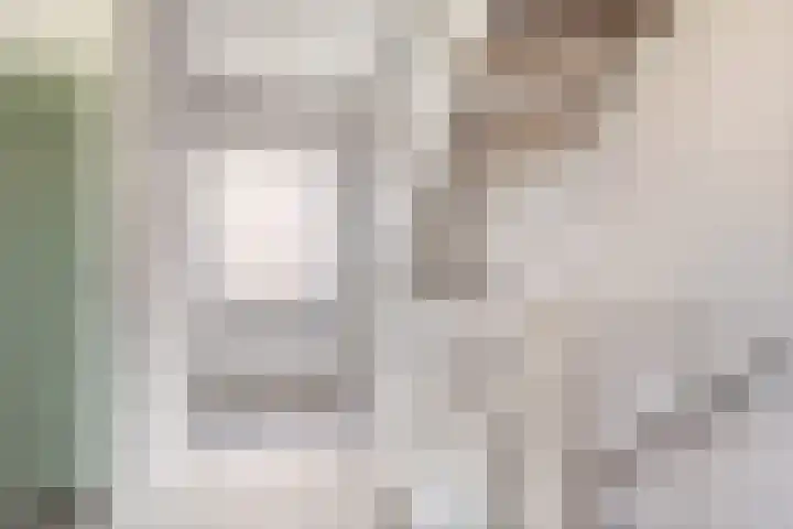Ceciliastraat 5 Veghel thumbnail 33