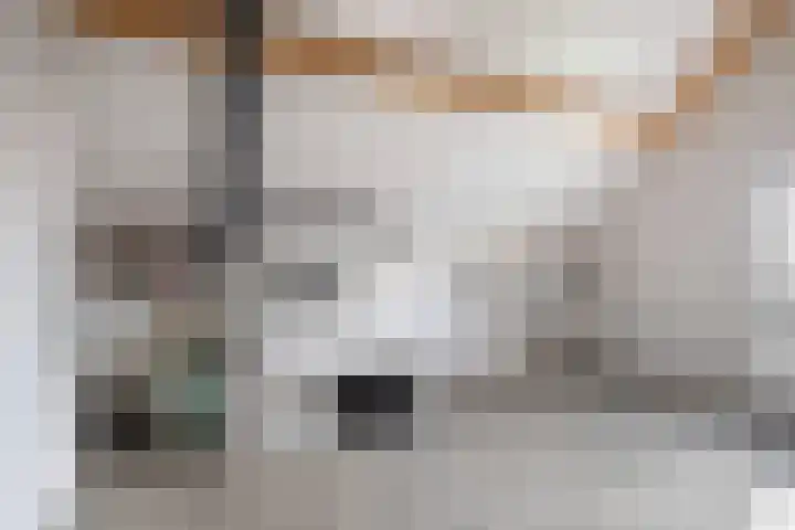 Ceciliastraat 5 Veghel thumbnail 35