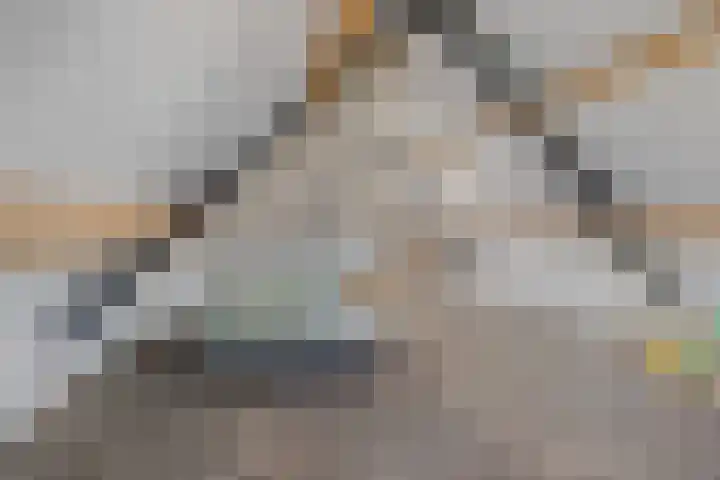 Ceciliastraat 5 Veghel thumbnail 36