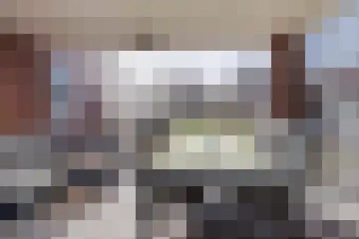 Ceciliastraat 5 Veghel thumbnail 38