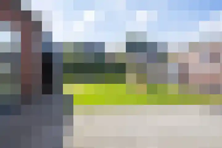 Ceciliastraat 5 Veghel thumbnail 40