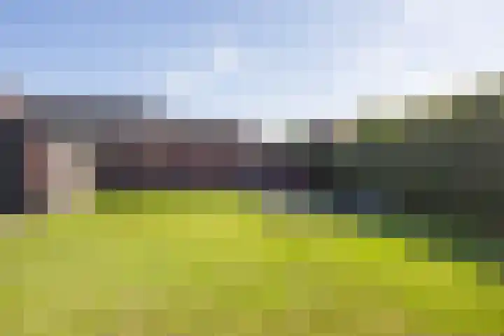 Ceciliastraat 5 Veghel thumbnail 42