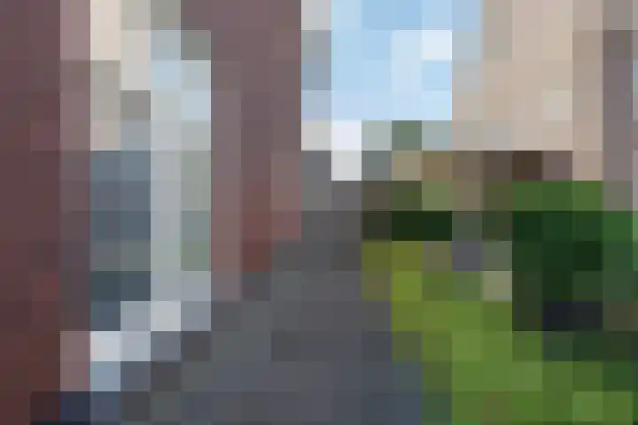 Ceciliastraat 5 Veghel thumbnail 45