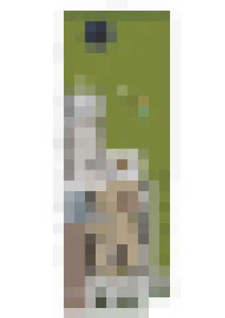 Ceciliastraat 5 Veghel thumbnail 51