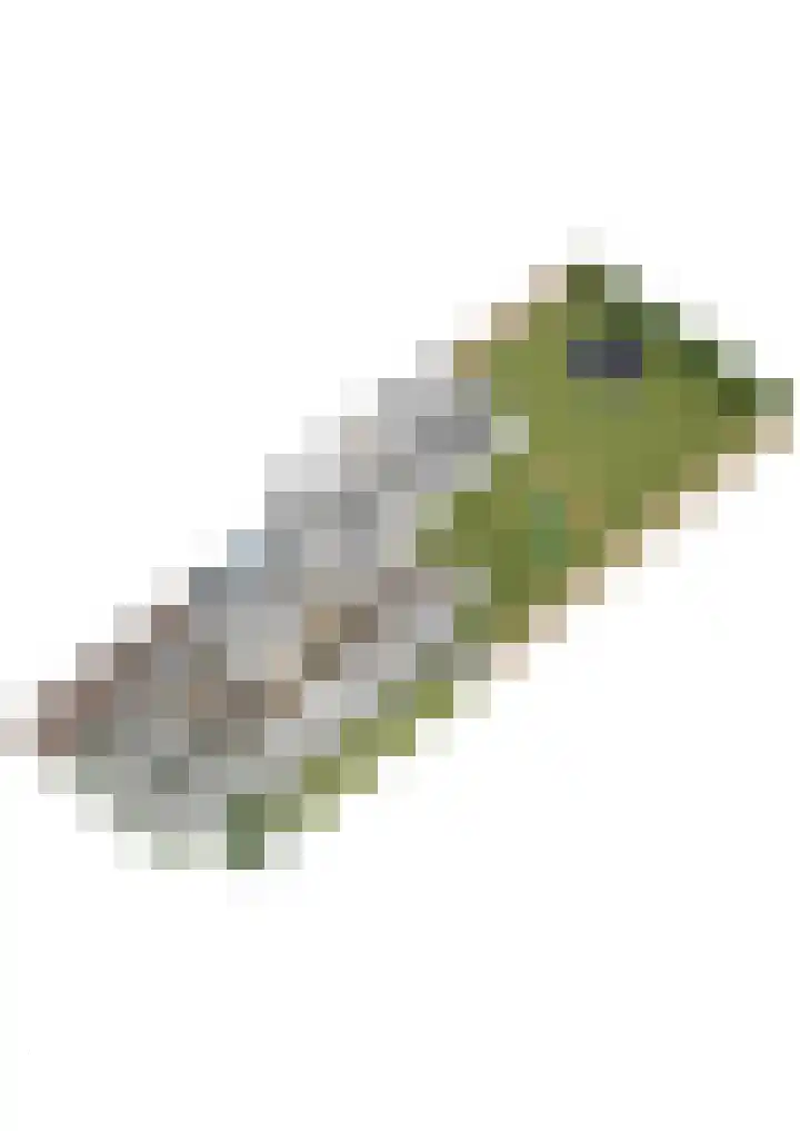 Ceciliastraat 5 Veghel thumbnail 55