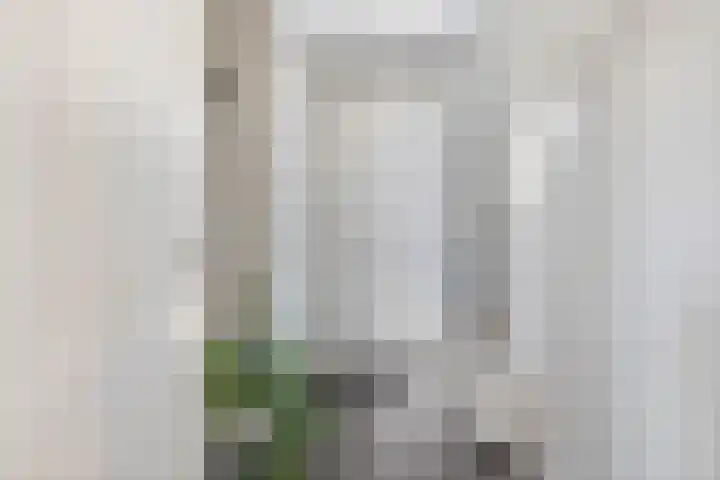 Ceciliastraat 5 Veghel thumbnail 6