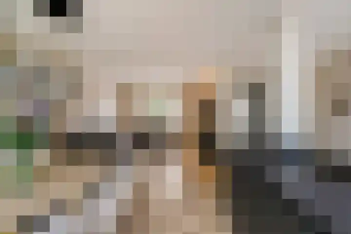 Ceciliastraat 57 Veldhoven thumbnail 12