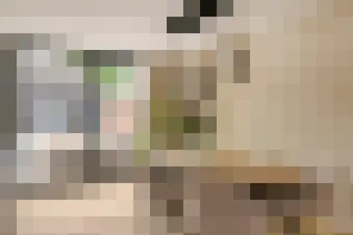 Ceciliastraat 57 Veldhoven thumbnail 14