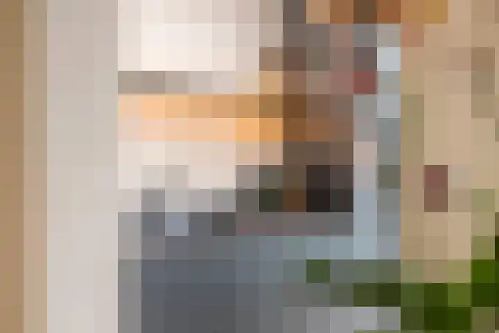 Ceciliastraat 57 Veldhoven thumbnail 20