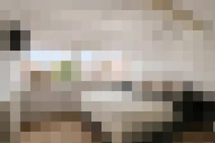 Ceciliastraat 57 Veldhoven thumbnail 33