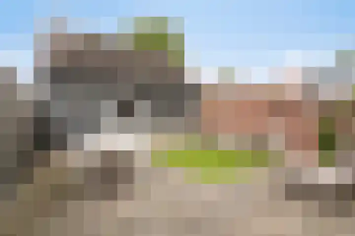 Ceciliastraat 57 Veldhoven thumbnail 38