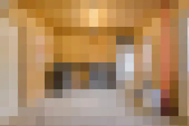 Ceciliastraat 57 Veldhoven thumbnail 39