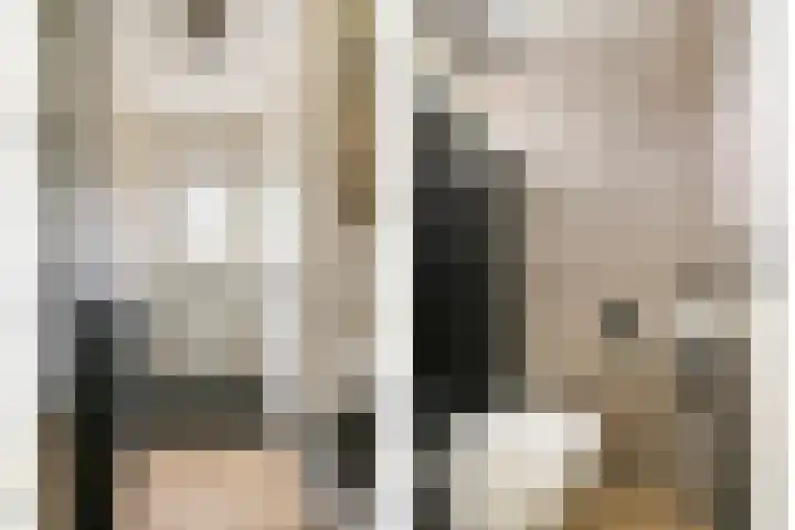 Ceciliastraat 57 Veldhoven thumbnail 7