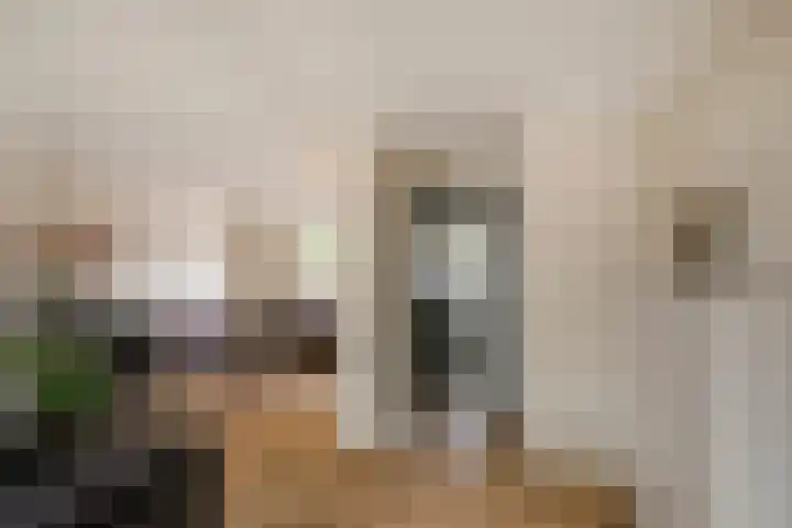 Ceciliastraat 57 Veldhoven thumbnail 9
