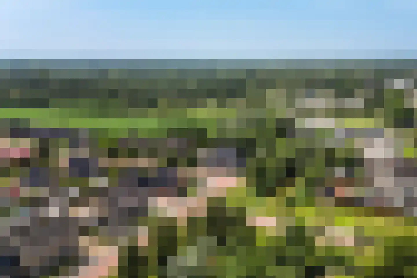 Cedelshof 2 Kollumersweach thumbnail 42
