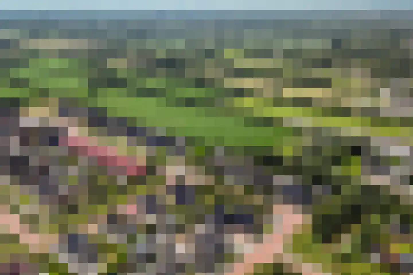 Cedelshof 2 Kollumersweach thumbnail 43