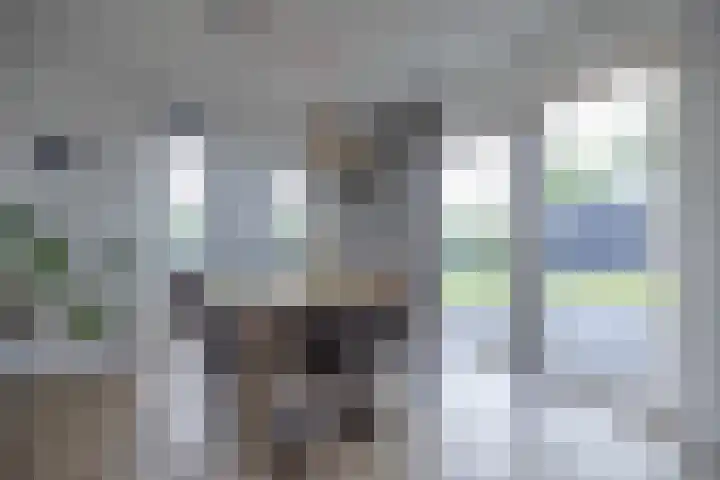 Cedelshof 36 Kollumersweach thumbnail 10