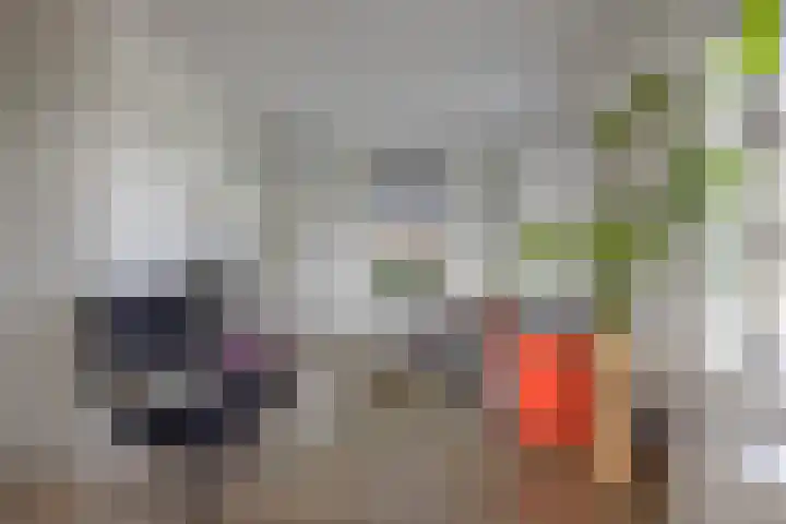 Cedelshof 36 Kollumersweach thumbnail 11