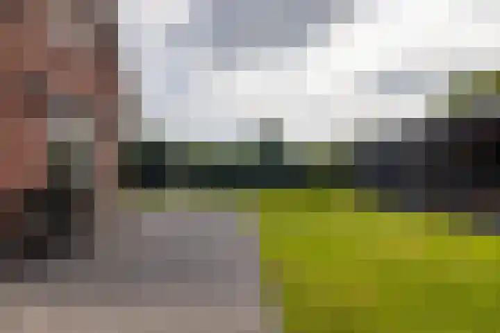 Cedelshof 36 Kollumersweach thumbnail 31