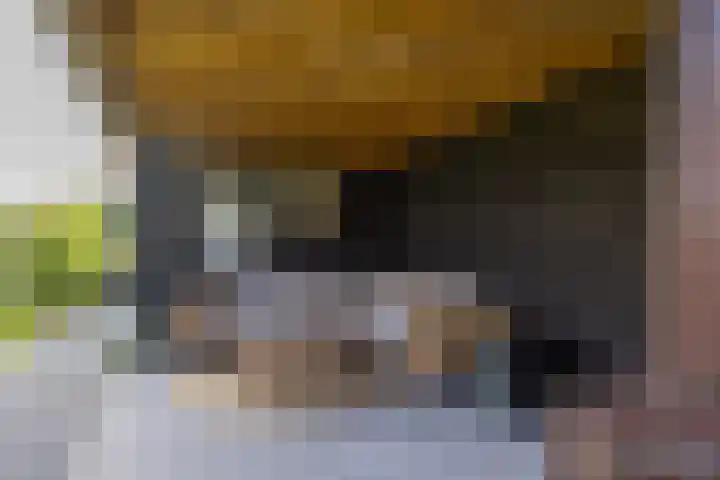 Cedelshof 36 Kollumersweach thumbnail 34