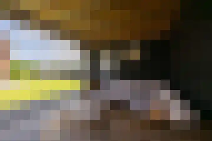 Cedelshof 36 Kollumersweach thumbnail 37