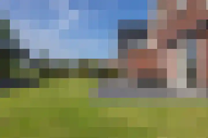 Cedelshof 36 Kollumersweach thumbnail 39