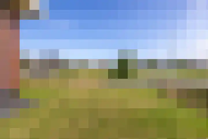 Cedelshof 36 Kollumersweach thumbnail 47