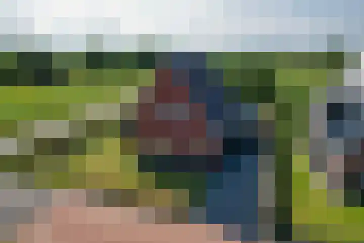Cedelshof 36 Kollumersweach thumbnail 48