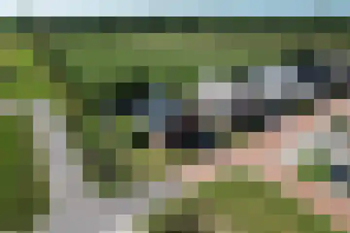 Cedelshof 36 Kollumersweach thumbnail 49