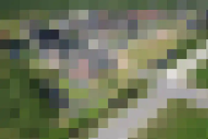 Cedelshof 36 Kollumersweach thumbnail 51