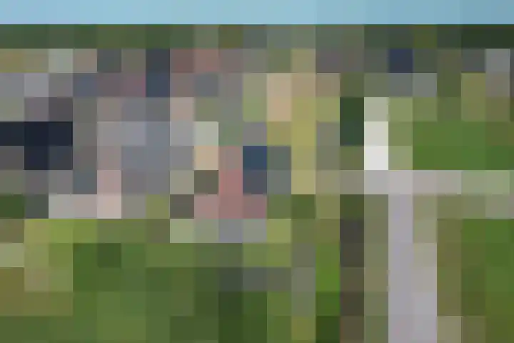 Cedelshof 36 Kollumersweach thumbnail 52