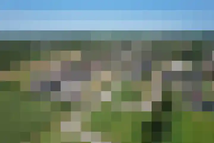 Cedelshof 36 Kollumersweach thumbnail 55