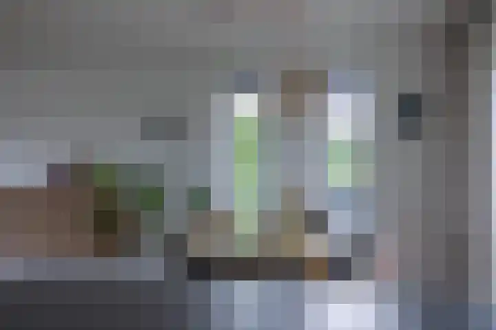 Cedelshof 36 Kollumersweach thumbnail 7