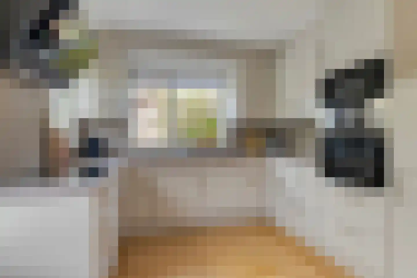 Ceder 22 Hoorn thumbnail 17
