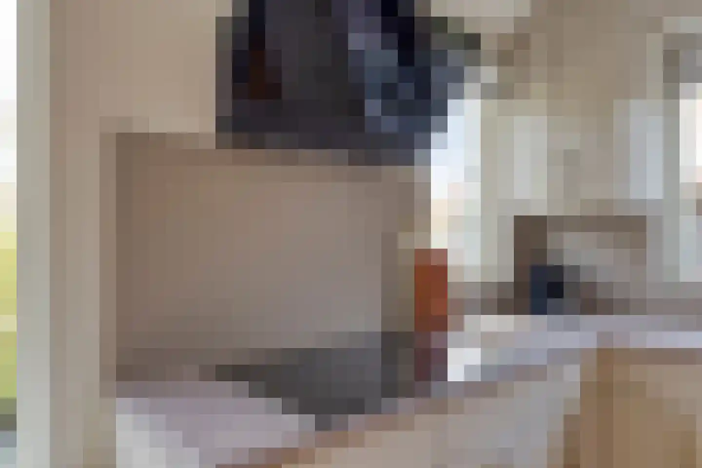 Ceder 22 Hoorn thumbnail 18